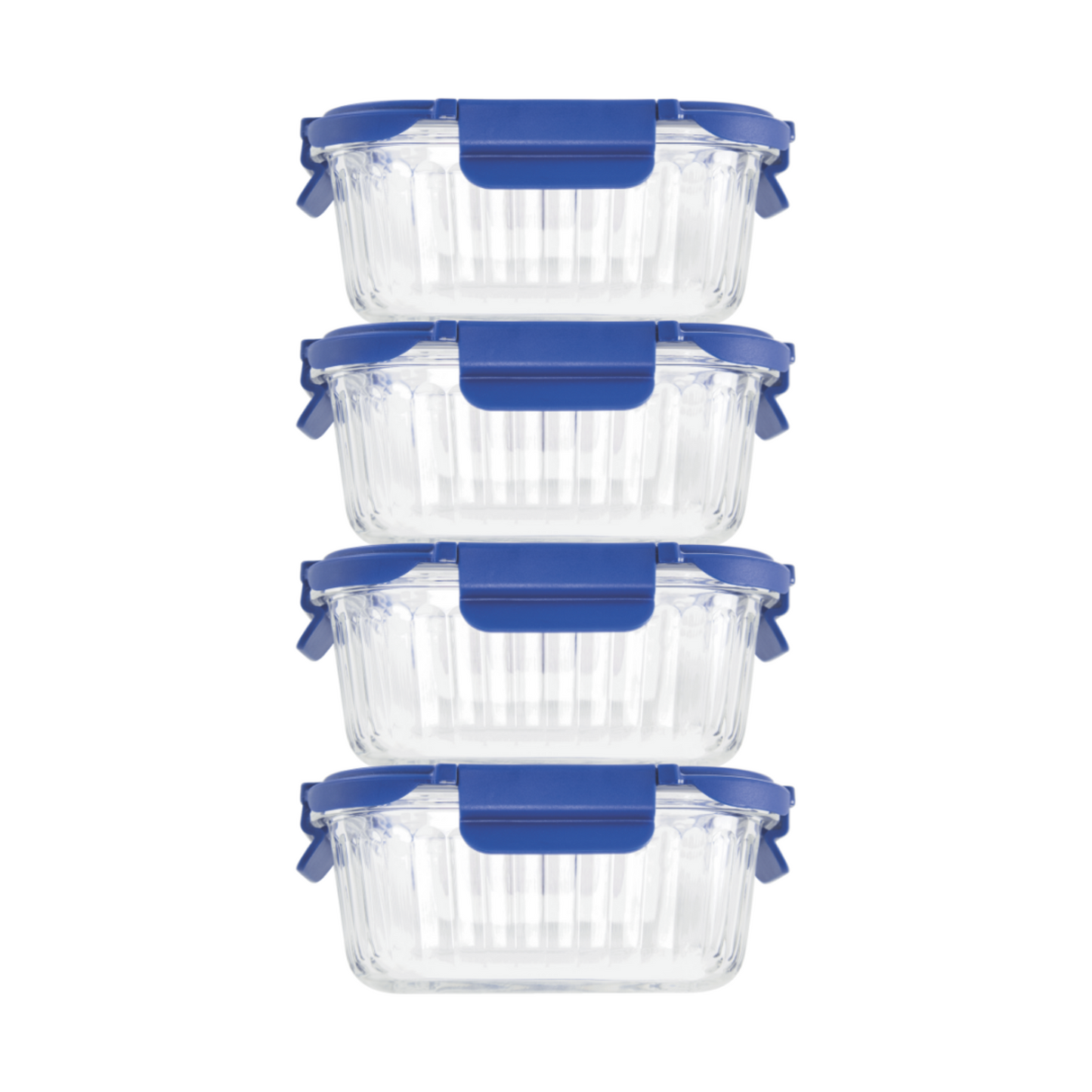 Veigo See & Serve |SQUARE| Glass Container w/ Glass Lid - Veigo Set of 4 - Value Deal / Ocean