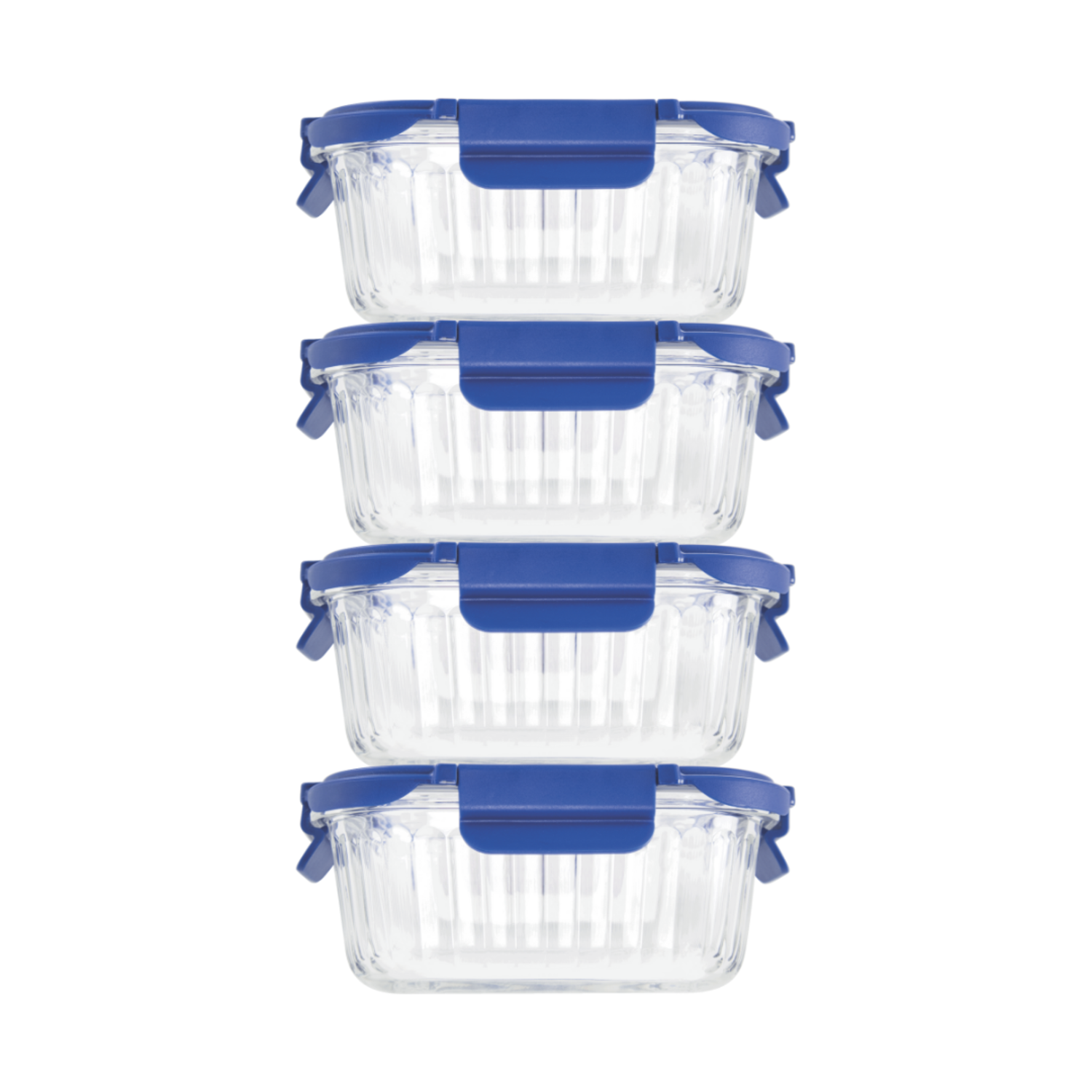 Veigo See & Serve |SQUARE| Glass Container w/ Glass Lid - Veigo Set of 4 - Value Deal / Ocean