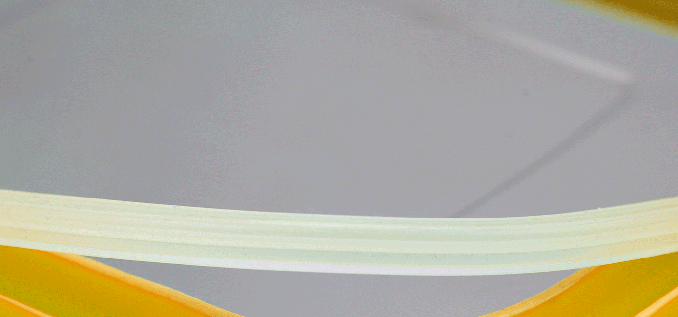 Silicone Rings (Gaskets) - Veigo MaxoSteel / Small Veg Box