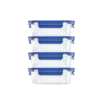 Veigo See & Serve |RECTANGLE| Glass Container w/ Glass Lid